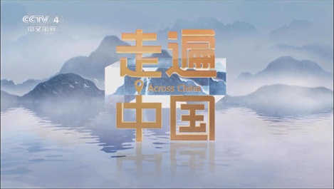 媒体聚焦：央视《新质引擎》揭秘上海365速发国际匠造全球最大乐高乐园