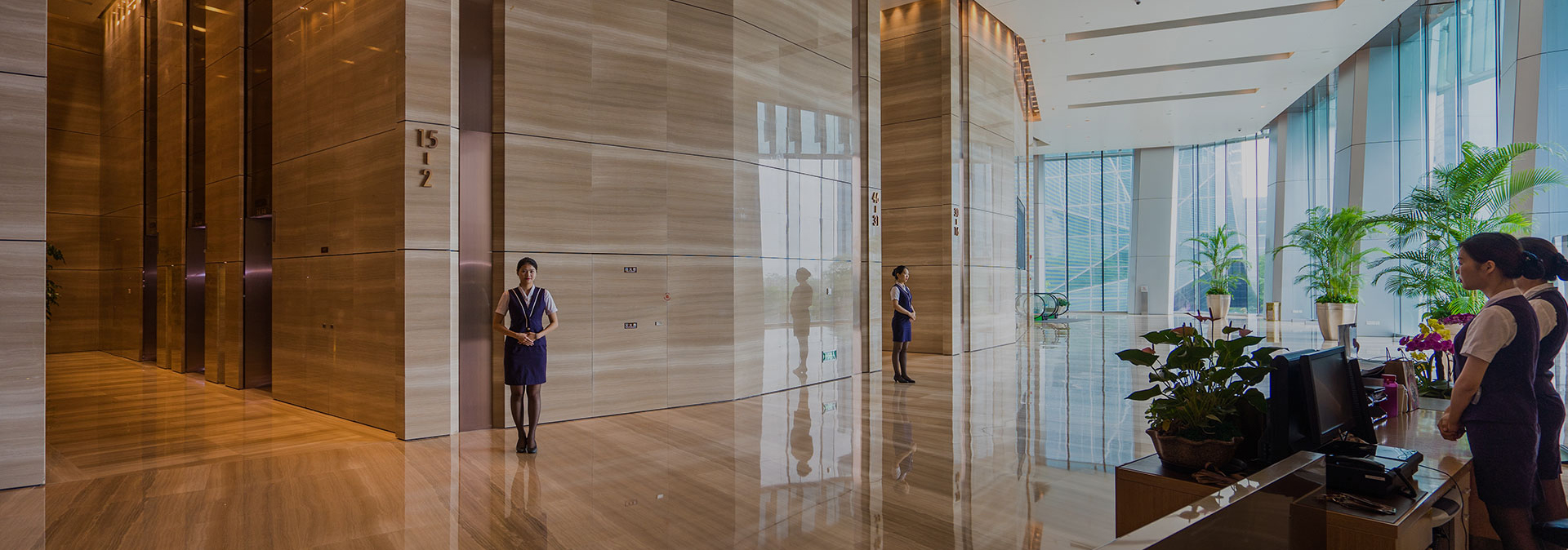 凤凰同盟·(中国区)官方网站