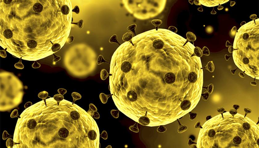 新型冠状病毒疫情解决计划